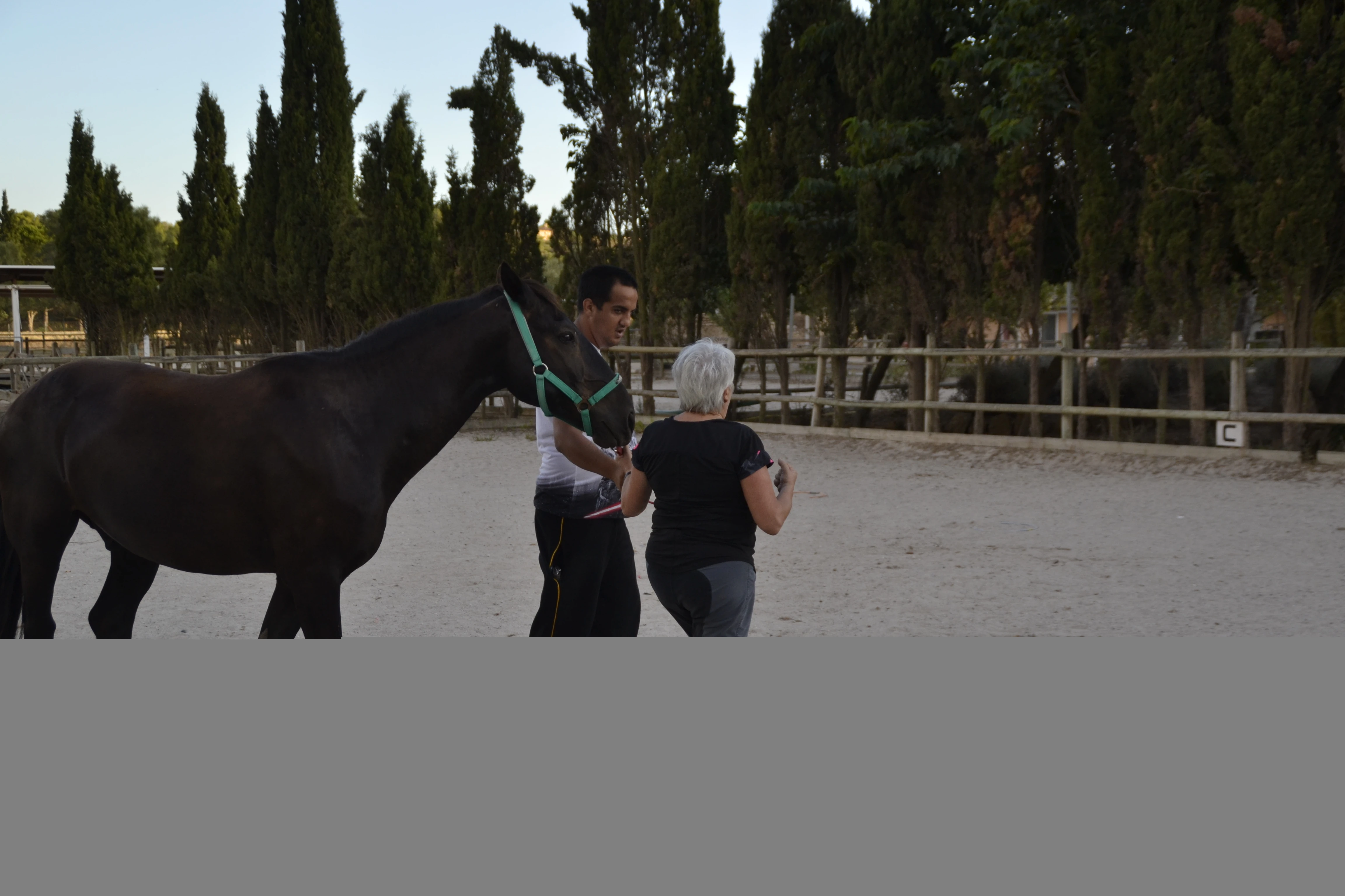 Cabalgando hacia la salud mental